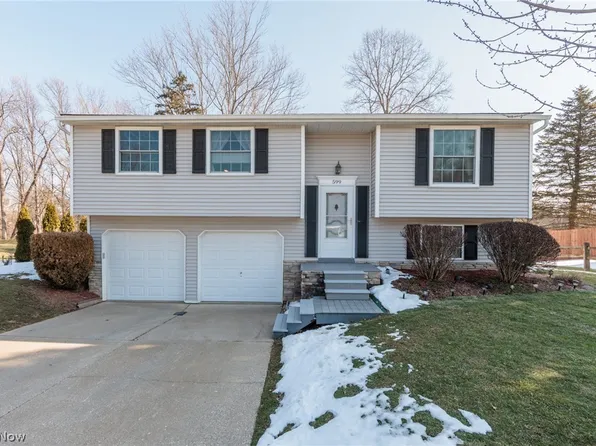 599 Berkshire Dr, Medina, OH 44256