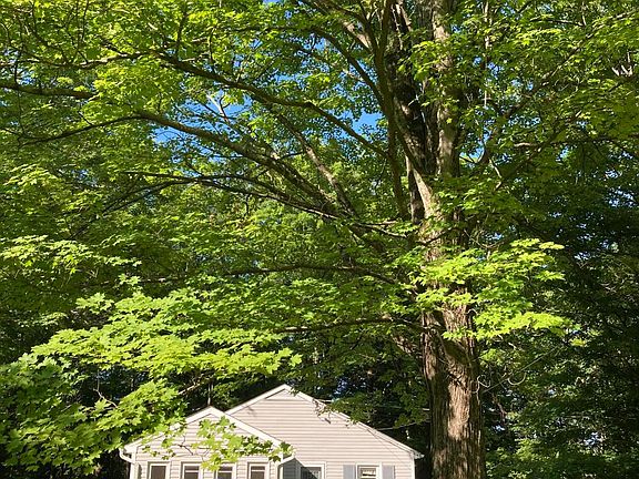 4th image of 1362/1363 Hickory Lane
