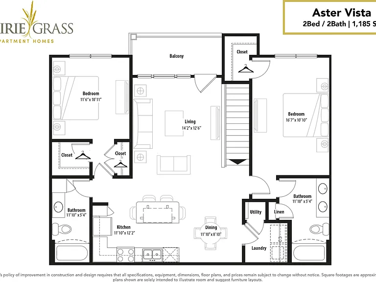 Aster Vista Aster Vista