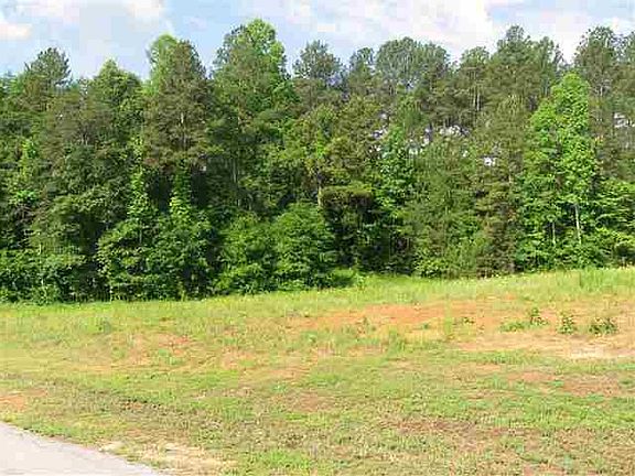 5th image of LOT 1/1A Palmetto Pointe Dr