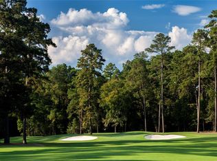 4469 Lily Bean Rd, Montgomery, TX 77316