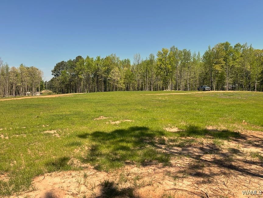 2nd image of 3 Sugarberry Farms