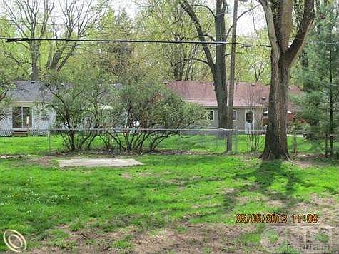 violet back yard.JPG