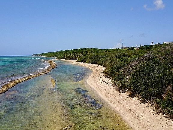 Tidal Pool