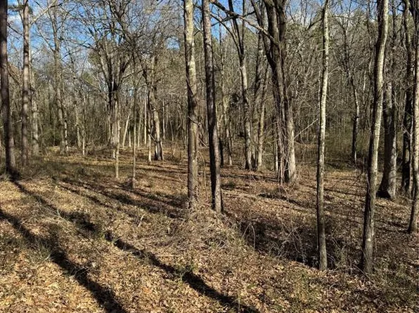 Fannie Mae Dr Lot 1, Broken Bow, OK 74728