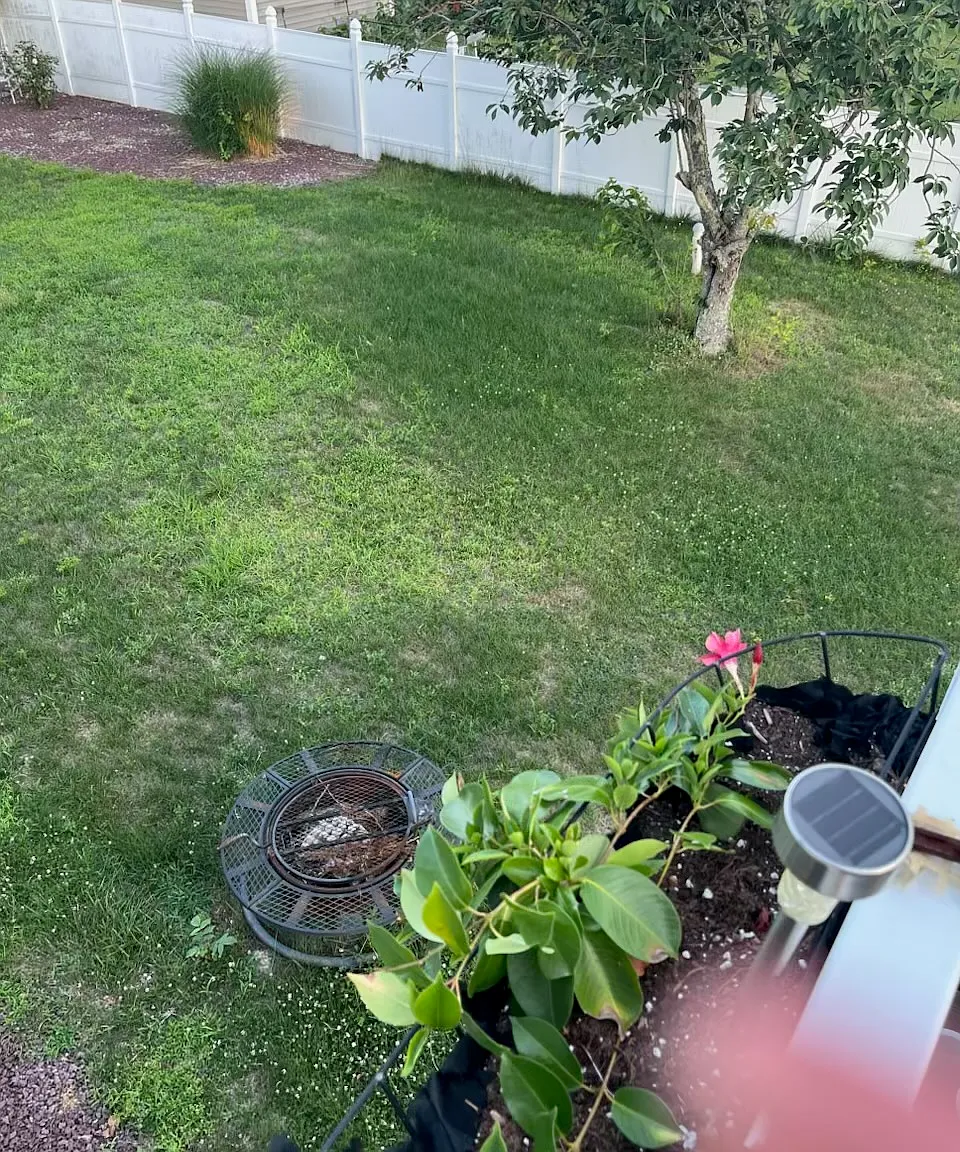 2 bed, 800 sqft, $2,500 — Photo 1