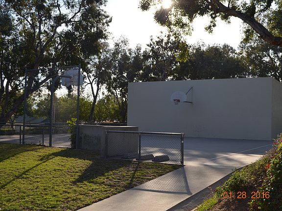 Community Basketball