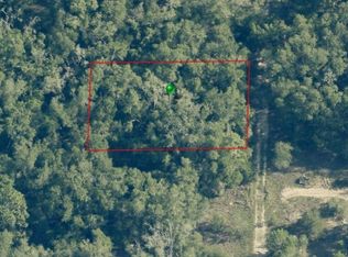 703 Dalwood Ave, Inverness, FL 34453