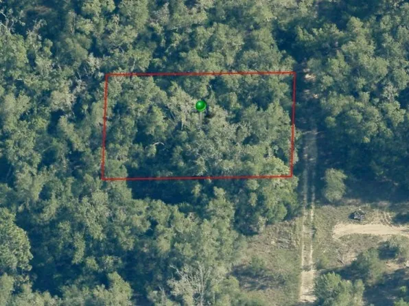 703 Dalwood Ave, Inverness, FL 34453