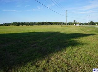 1042 Sumter Hwy, Bishopville, SC 29010