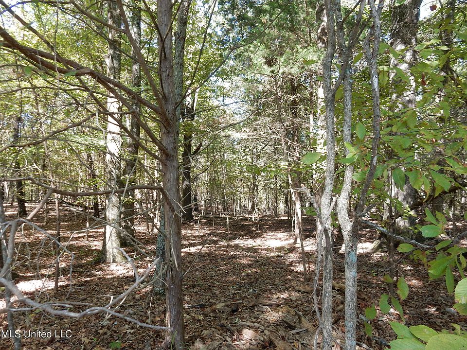 2nd image of 2 N Crockett Rd Lot 2