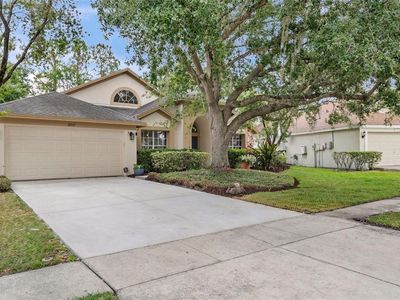 18017 Palm Breeze Dr, Tampa, FL, 33647