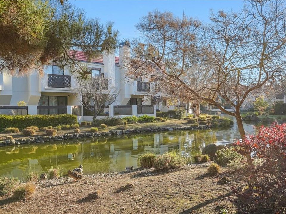 1st image of 544 Shorebird Cir Unit 25204