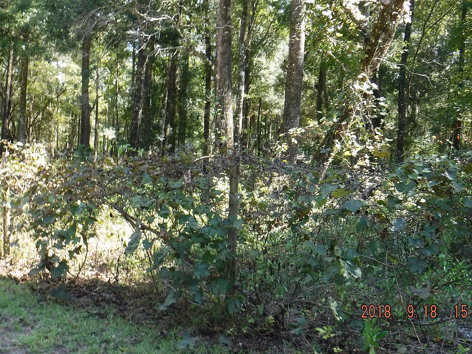 2nd image of 582 NE 400th Ave