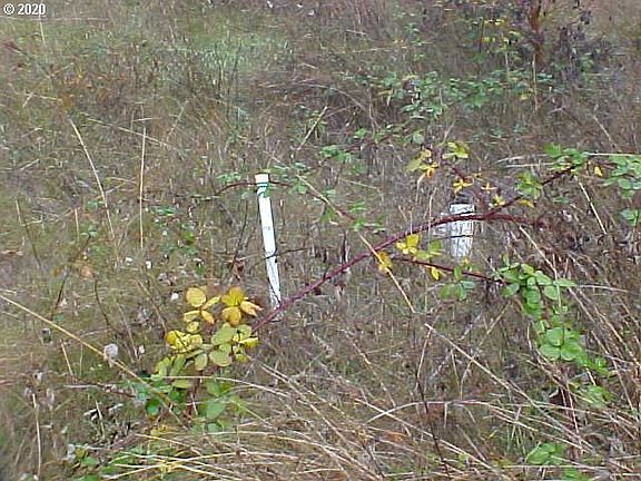 5th image of 13697 Highway 42