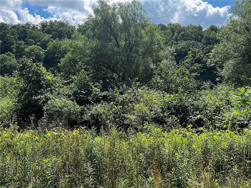 0 Alderbottom Rd Conewango Valley NY Zillow