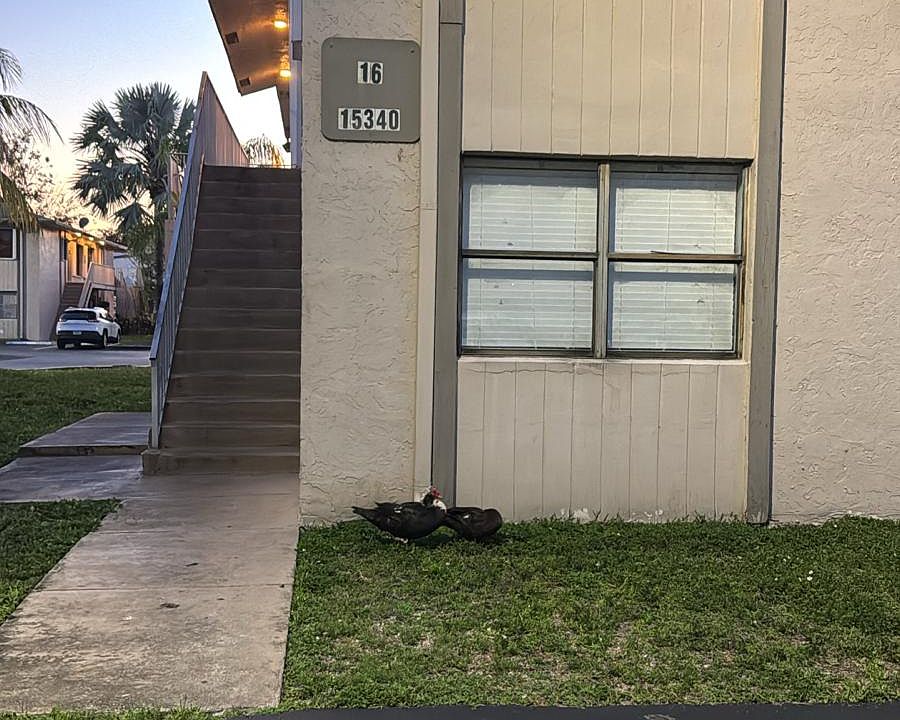 1st image of 15340 SW 72nd St #16-11