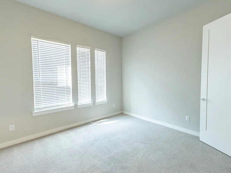 3609 Hollow Pine Dr — Photo 14