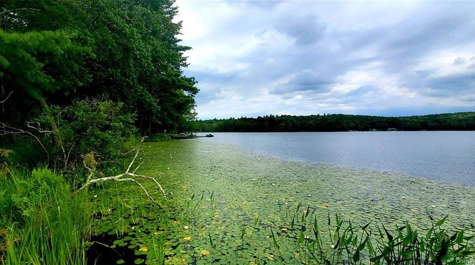24 Washington Lake Road, Yulan, NY 12792 Zillow