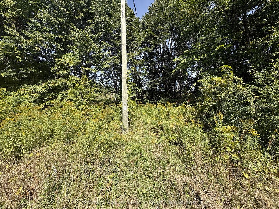 1st image of 0 Ingham Rd Lot 1