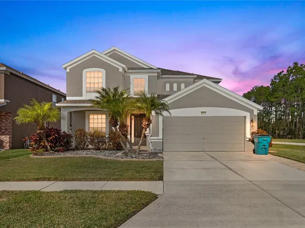 30419 Princess Bay Dr, Wesley Chapel, FL 33545