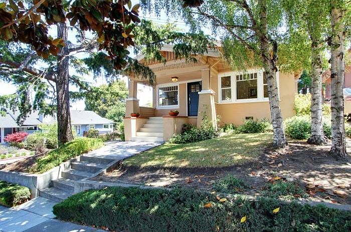 Maxwell Park Charmer