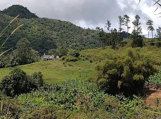 Km .2 Int Bo Helechal Pr #152, Barranquitas, PR 00794