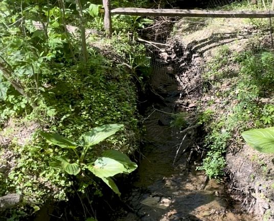 3rd image of 301 Corrine Rd