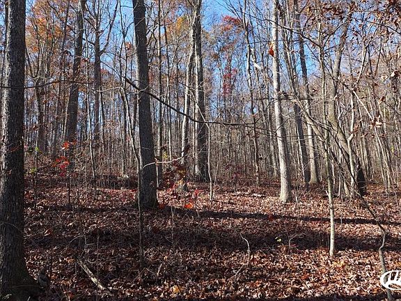 4th image of Hamilton Valley Road