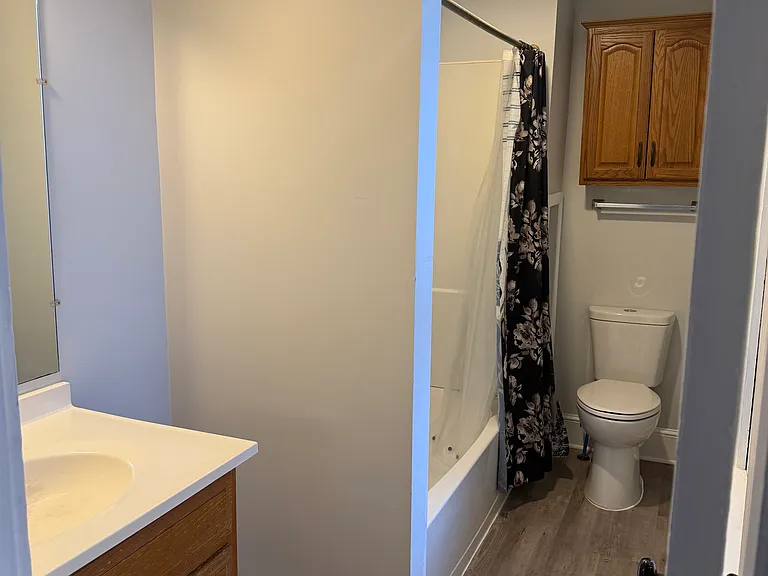 Bathroom, new flooring, new toilet