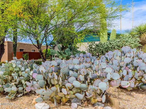 1807 E Silver St, Tucson, AZ 85719