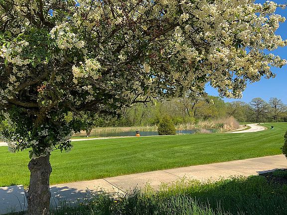 Front Yard with Stocked Pond