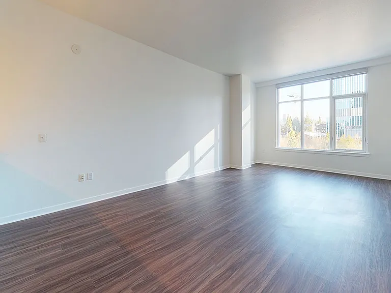 Apartment living room with wood-style flooring.
