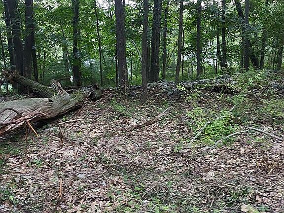 5th image of 0 Dogwood Ter #17G