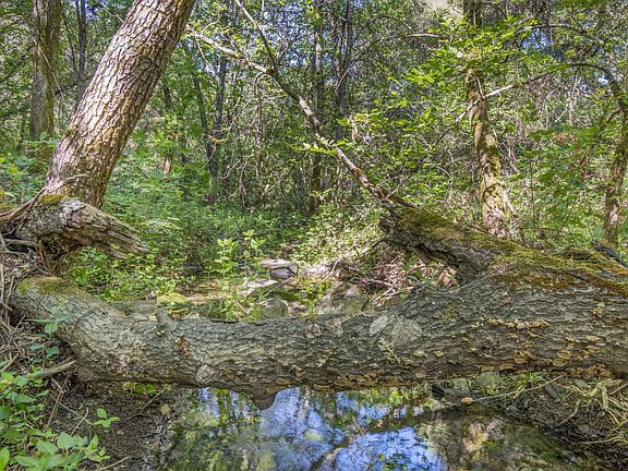 9th image of Cacalaveras County