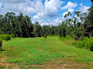 SW Delray Southwest Ave, Greenville, FL 32331