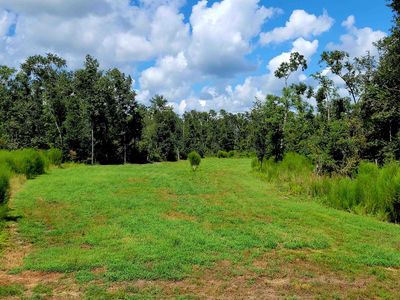 SW Delray Southwest Ave, Greenville, FL, 32331