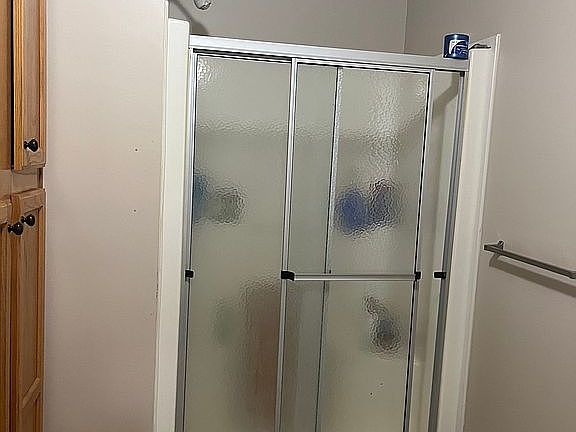 Master Bathroom (Shower)