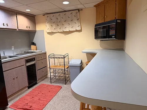 111 Nehoiden Rd #LOWER LEVEL — Photo 6