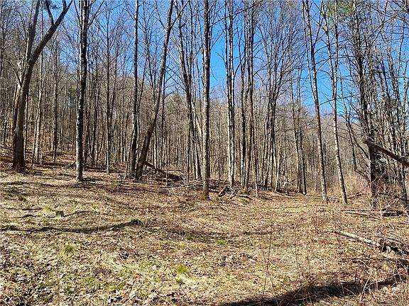 3rd image of Chlorinator Rd Lot 31