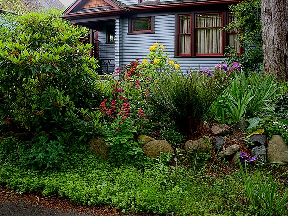 Front yard landscape