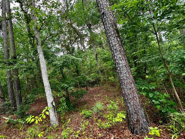 Beechridge Loop, Hemphill, TX 75948