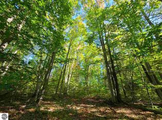Twin Lake Rd NE, Mancelona, MI 49659