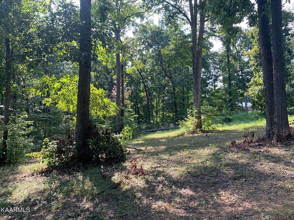 1st image of Crickett Dr