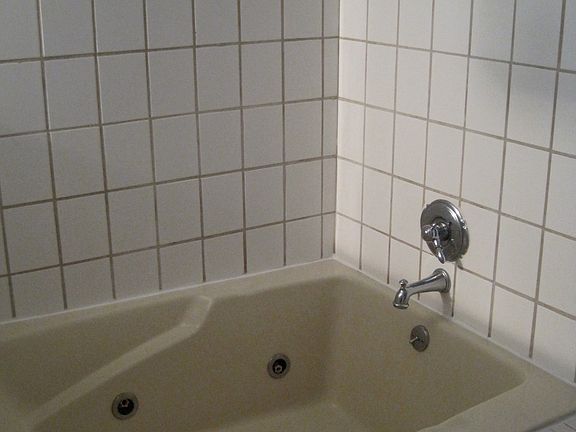 Master Bathroom Jetted Tub