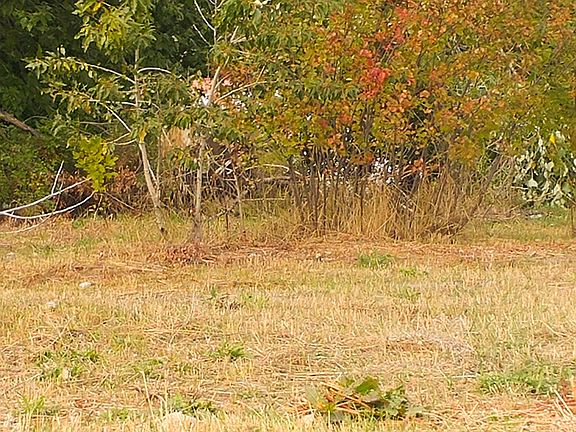 3rd image of LOT 3 53rd St Lot 3