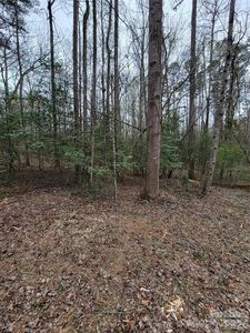 Vacant Elmwood Dr, Troy, NC, 27371