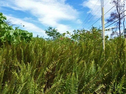 4th image of E Pohakupele Loop Lot 56