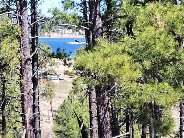 LOT 9 The Ranch At, Alpine, AZ 85920