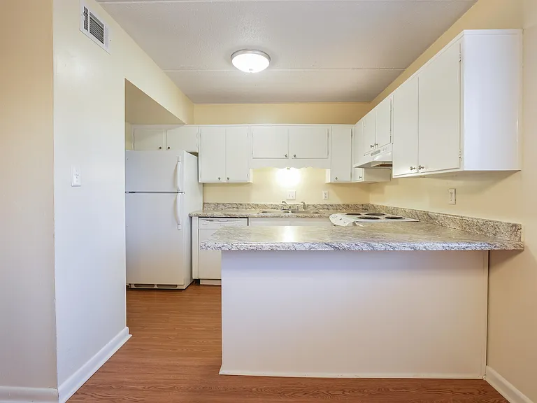 545 E 7th Ave #103 — Photo 7
